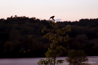 IMG_2730